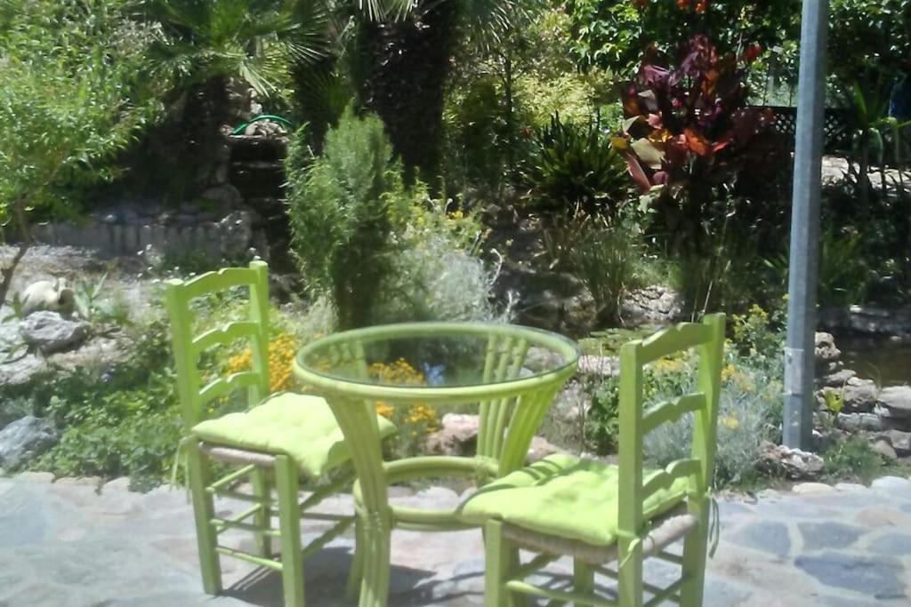 Вилла Vivienda Rural La Choza Херес-де-ла-Фронтера Экстерьер фото